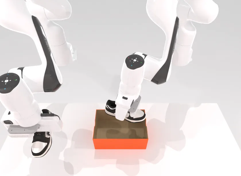 Place dual shoes: Both arms put the two shoes in the shoebox, toes to the left.