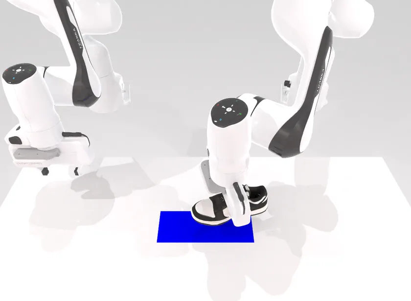 Place shoe: Put the shoe on the mat.